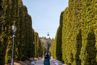 Sonbaharın başlarında uzun yeşil çalılıklardan oluşan bir ara sokak, teleferiğin hareketini telefondan kaydeden bir kadın.