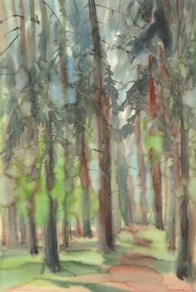Сосны Лесу Акварельный Пейзаж Ручной Рисунок — стоковое фото