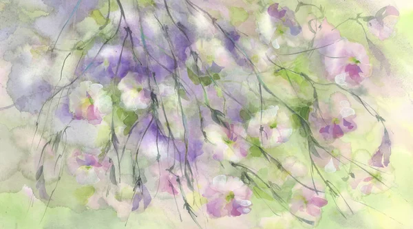 Цветы Розового Луга Фоне Акварели Ветра Летние Цветы — стоковое фото