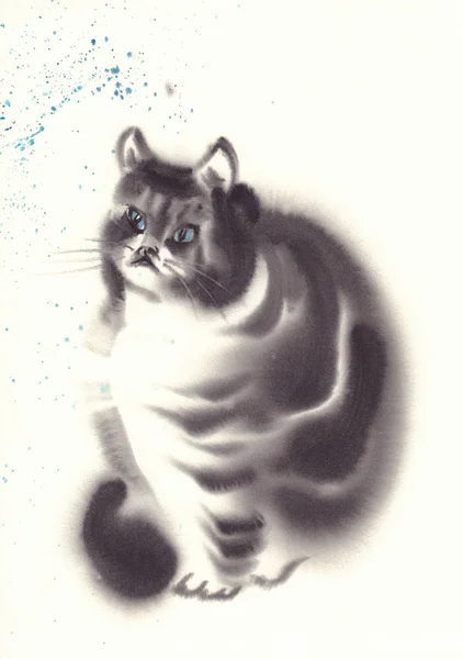 Fekete Bolyhos Macska Akvarell Fehér Háttér — Stock Fotó