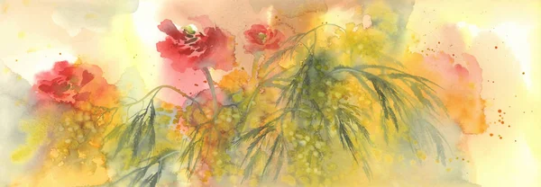 Mimosa fiore acquerello sfondo con anemoni rossi — Foto Stock