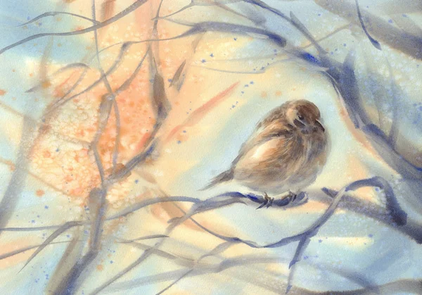 分枝水彩背景上的小鸟麻雀 — 图库照片