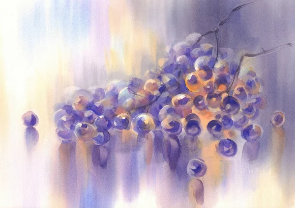 An illustration of grapes in vintage watercolor style — Stock Photo, Image