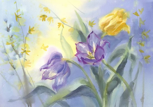 Violet tulips with pussy willow watercolor background — Stock Photo, Image