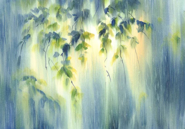 Βροχερό δάσος στο φόντο των υδατογραφικών πράσινο φως — Φωτογραφία Αρχείου