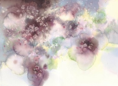 Beyaz sakura çiçeği suluboya arka planda çiçek açar..