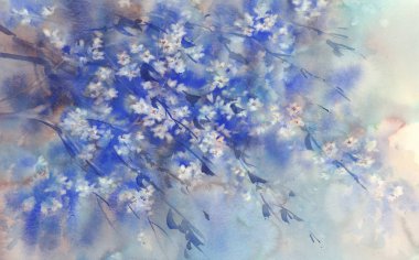 Beyaz sakura çiçeği suluboya arka planda çiçek açar..