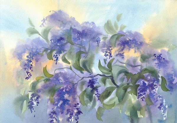 Violet lilas branches de fleurs avec des feuilles fond aquarelle — Photo