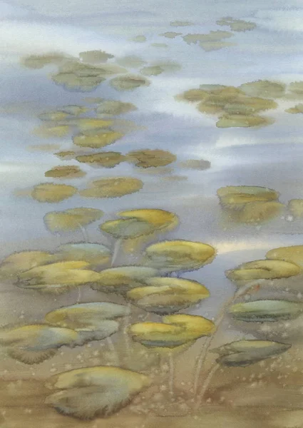 Tavirózsa levelek a tó akvarell háttér — Stock Fotó