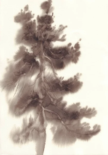 Vintage style monochrome illustration of pine tree