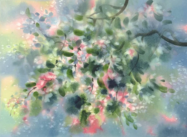 Floração galhos de árvore no fundo aquarela primavera — Fotografia de Stock
