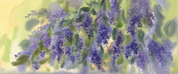 Rami di fiori lilla viola con foglie fondo acquerello — Foto Stock