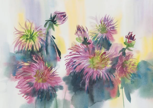 Dahlias couleur peint en fond de lumière aquarelle — Photo
