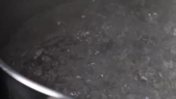 Stoom opstijgend uit pot met kokend water — Stockvideo