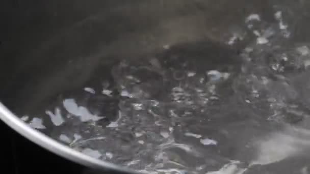 Vapore che sale dalla pentola con acqua bollente — Video Stock