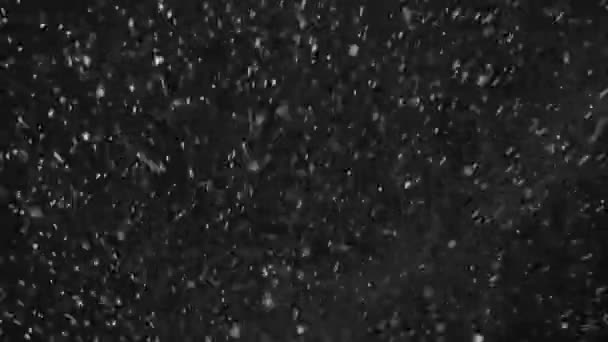 Water drops on the black background — Stock Video