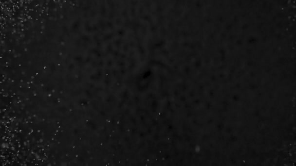 Капли воды на черном фоне — стоковое видео