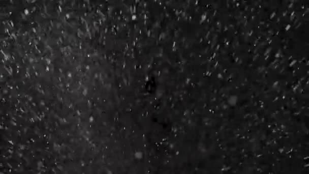 Gotas de agua sobre el fondo negro — Vídeos de Stock