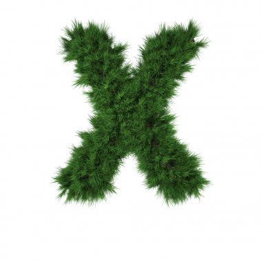 beyaz arka plan üzerinde izole yeşil çimenli Letter X