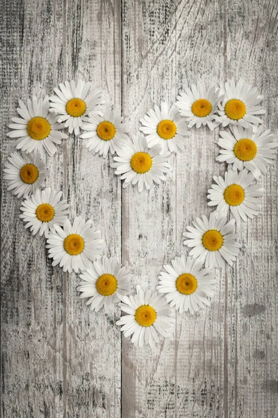 Fresh Chamomile Flowers Shape Heart Scattered Rustic Wooden Background Copy — Stock Photo, Image