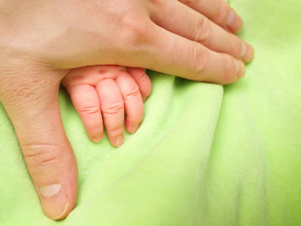 男方的手牵着新生婴儿的小指盖在浅绿色的羽绒被上 — 图库照片
