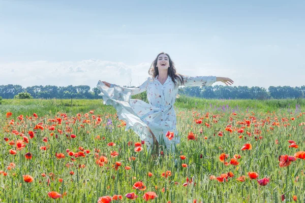 Kırmızı haşhaş tarlasında koşan açık mavi elbiseli genç bir kadın. Yüksek kalite fotoğraf