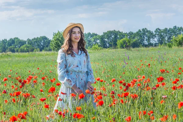 Açık mavi elbiseli genç bir kadın kırmızı haşhaş tarlasında dikiliyor ve uzaktan izliyor.