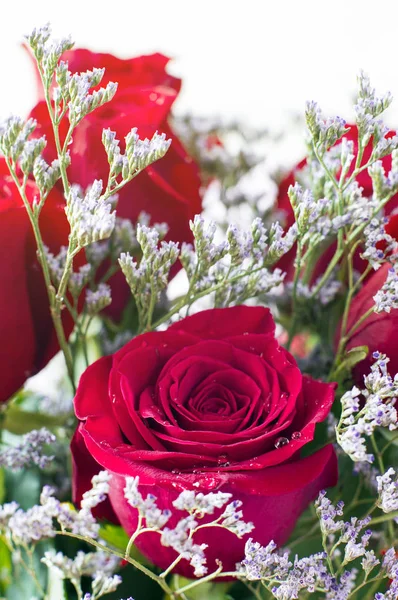 Bouquet Beautiful Red Roses Selective Focus — Stock Photo, Image