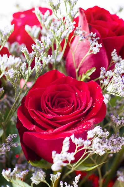 Bouquet Beautiful Red Roses Selective Focus — Stock Photo, Image