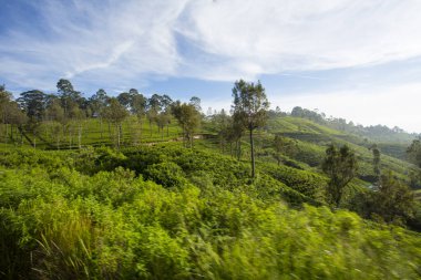 Yeşil tepeli ve bulutlu manzara