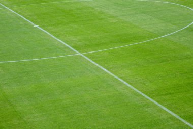 Yeni bir çim spor stadyum, futbol sahası