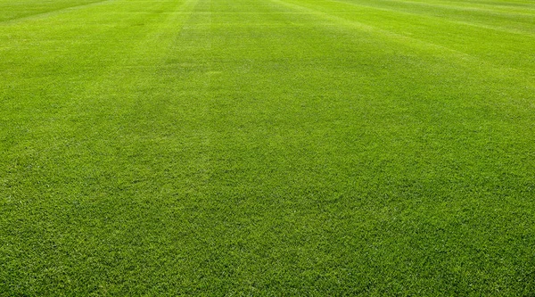 Nowa Piłka Nożna Pole Zielony Trawa Tło — Zdjęcie stockowe