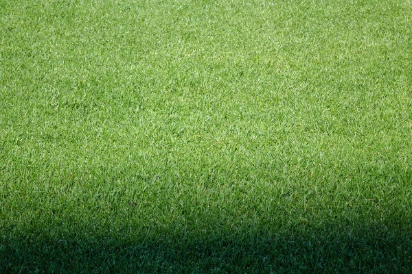 New Football Field Green Grass Background — Stock Photo, Image