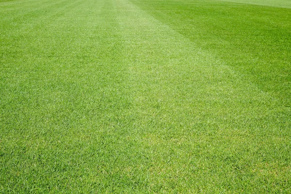 Nya Fotboll Fältet Gröna Gräs Bakgrund — Stockfoto