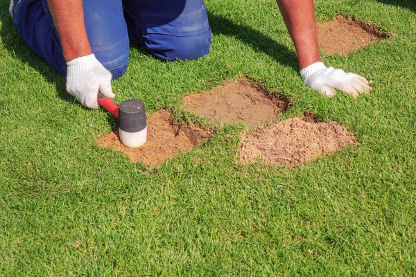Bakım Stadyumu futbol alanının