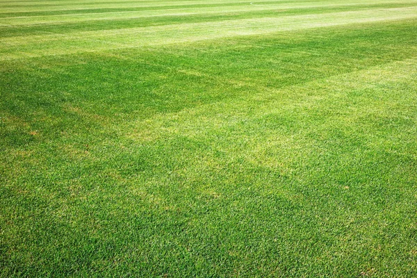 Nuovo Prato Sportivo Una Giornata Sole — Foto Stock