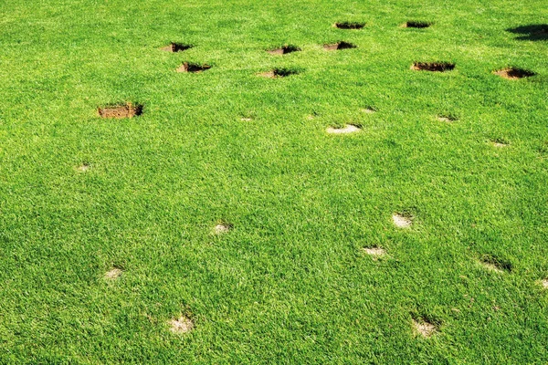 Reparação Gramado Verde Danos — Fotografia de Stock