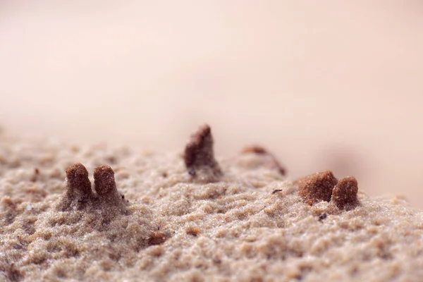 Písečné Malé Duny Přílivu Dešti — Stock fotografie