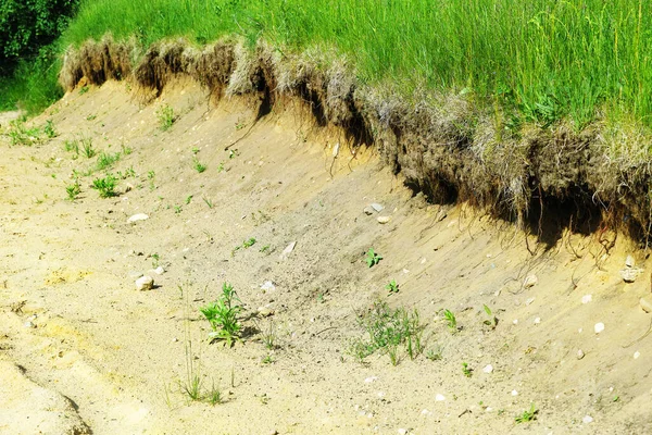 Grönt Gräs Fält Med Sand Dike Efter Kraftiga Regn — Stockfoto