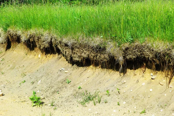 Зеленое Травяное Поле Песчаной Канавой После Сильных Дождей — стоковое фото