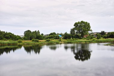 Belarus 'un güzel göl manzaralı köy manzaraları.                               