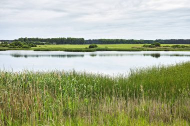  Beyaz Rusya 'nın kırsal bölgelerinde güzel nehir ve göl kıyıları var.                              
