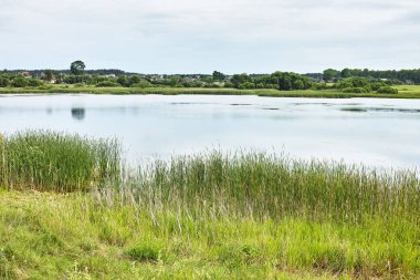  Beyaz Rusya 'nın kırsal bölgelerinde güzel nehir ve göl kıyıları var.                              