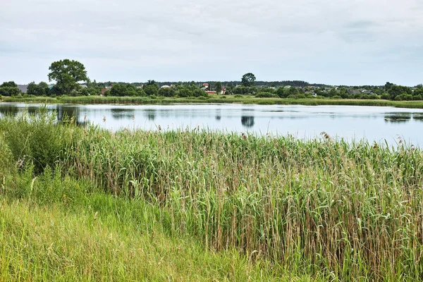 Rural Landscapes Belarus Beautiful Banks Rivers Lakes — Stock Photo, Image