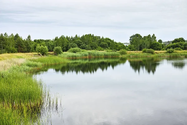 Paisagens Rurais Bielorrússia Com Com Belas Margens Rios Lagos — Fotografia de Stock