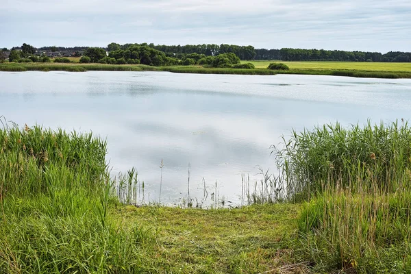 Rural Landscapes Belarus Beautiful Banks Rivers Lakes — Stock Photo, Image