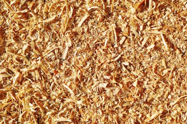 Sonraki kullanım için işlemden sonra tahta yongaları                               