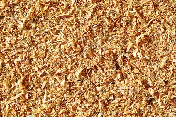 Wood Chips Processing Future Use — Stock Photo, Image