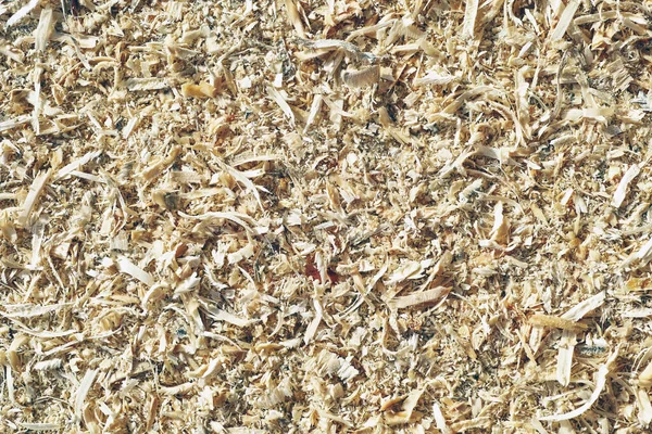 Wood Chips Processing Future Use — Stock Photo, Image