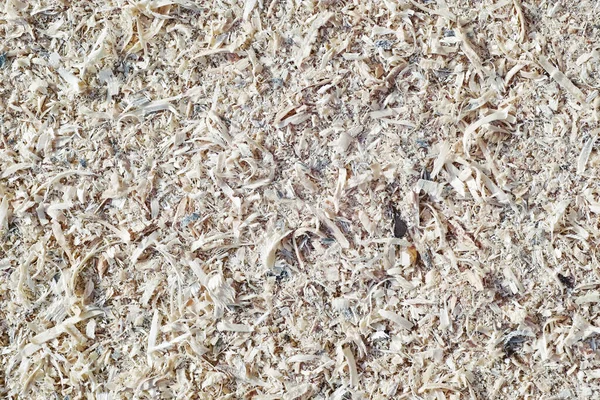 Sawdust Waste Main Production Processing Secondary Raw Material — Stock Photo, Image